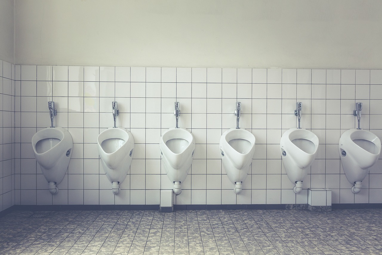 toilet, loo, wc-1542514.jpg